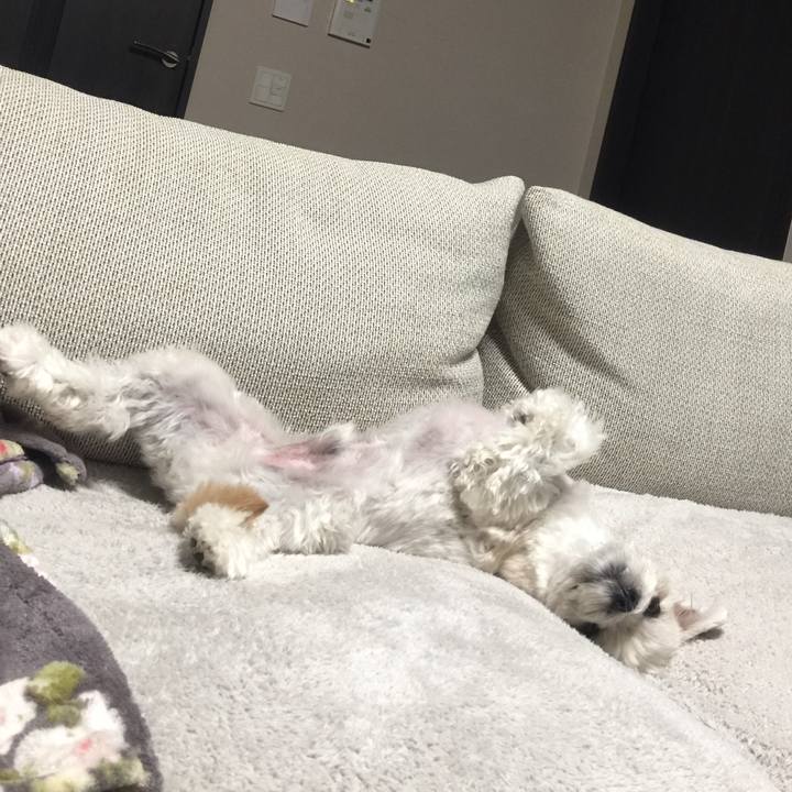 Ebeb4894 b4af 4f20 adf7 c52225c50dc2 1509537742213