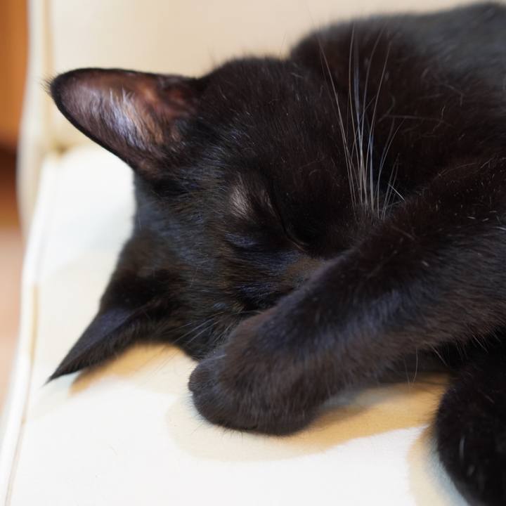 Ebeb7483 3589 41e1 a1c9 b6a602fae776 1632265158016