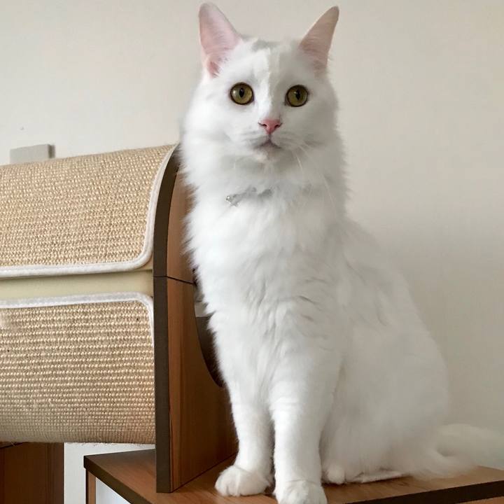 Ebeb95e2 2d3a 455d 81a8 43d30324f8ed 1547944493452