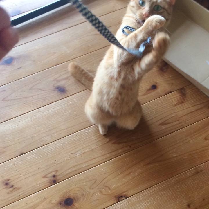 Ebeb9822 972e 4113 a0b3 df7d511d1507 1525307853698