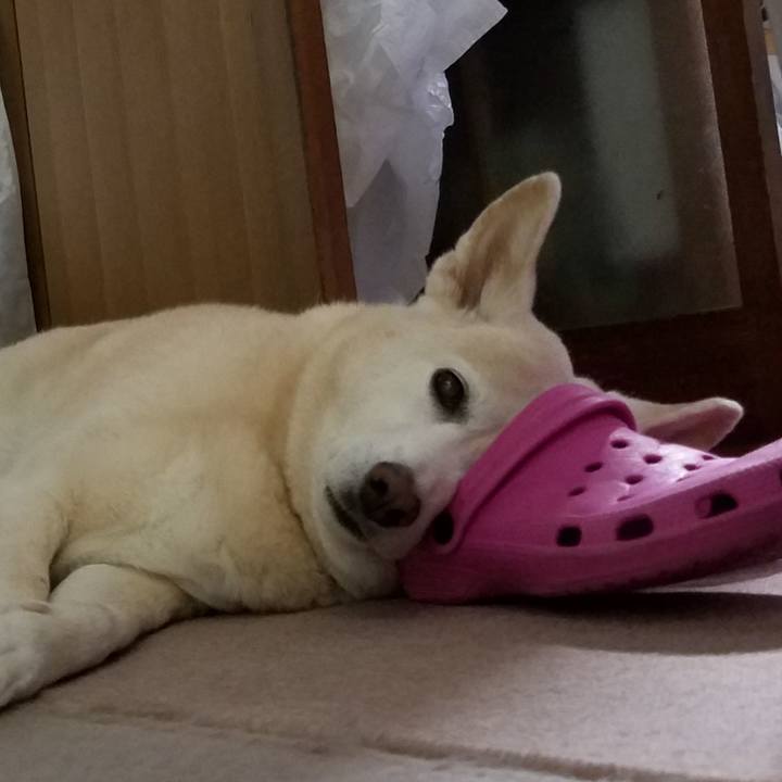 Ebeba070 5f36 4baf 98b3 bf2911b1cff8 1589292881555