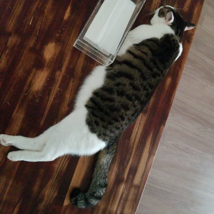 Ebebcfea 9cba 4658 8a27 c4cb02d38a13 1569966471628