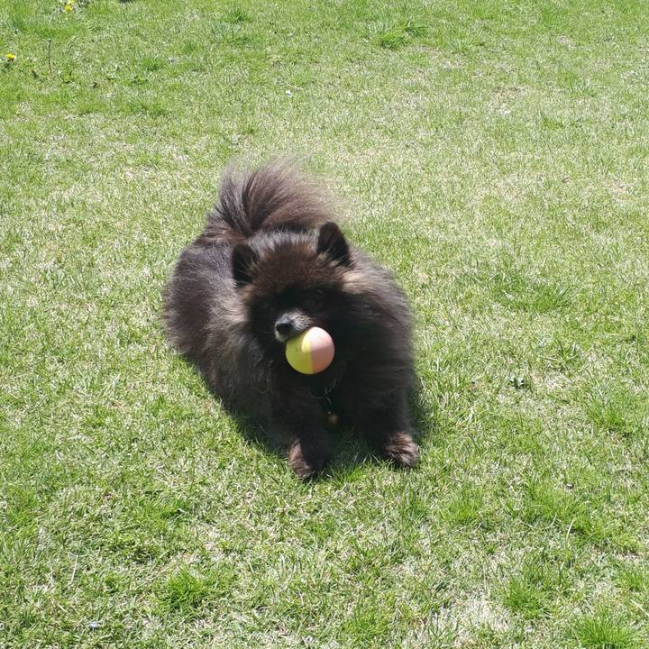 Ebebe125 8190 4fa3 99c2 50936fc6a385 1523242666040