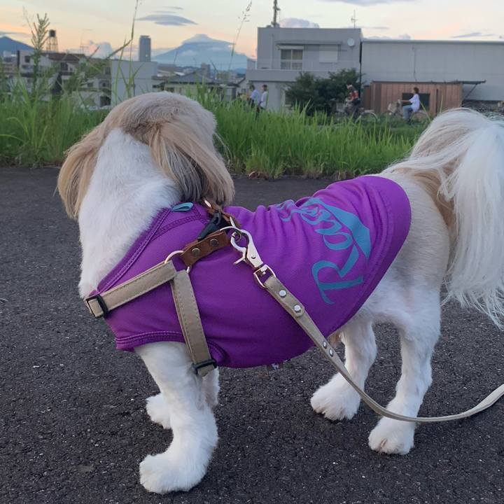 Ebec0d31 657b 41da 9fc2 6c873ebf72d0 1626350827378