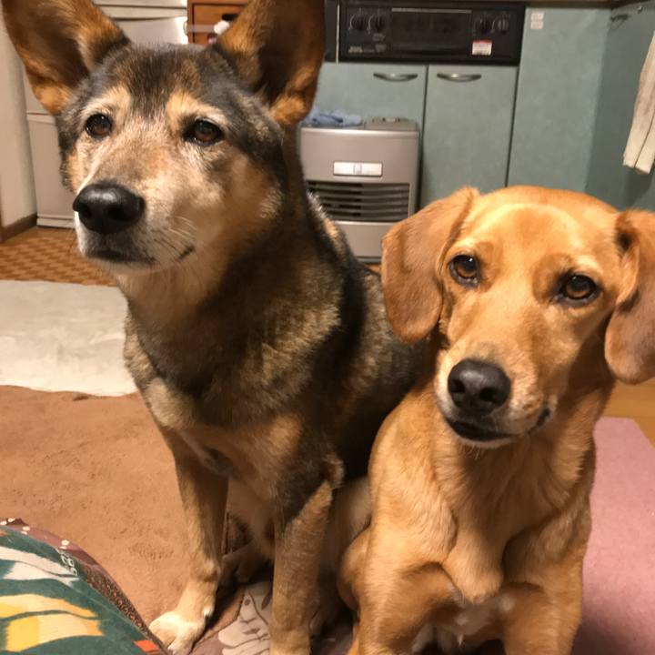 Ebec7cc9 b456 460b 9a18 473cc19c3ff2 1517993178510