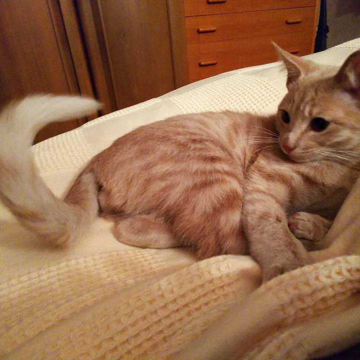 Ebec824c b9d6 4bf4 8a7b 3079325c5bec 1544016807484