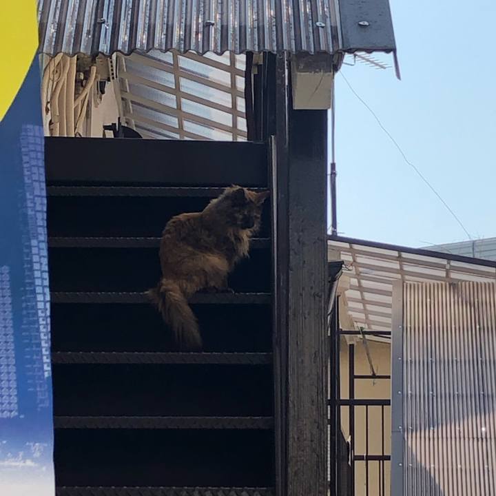 Ebec831f 48fb 4c6a 9c0f 75da06b217c3 1584631138204