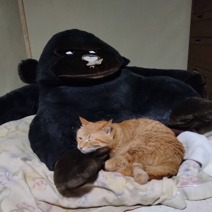 Ebec9085 9d7a 464c b2db 467c105e580b 1743674036381