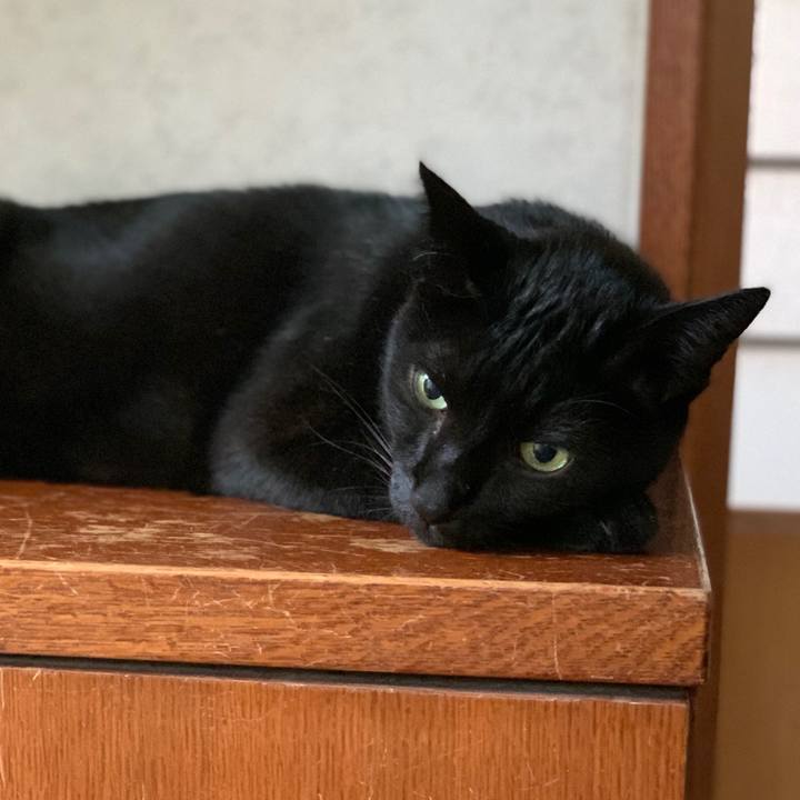 Ebec969b 252a 4571 935f 1e035244f4e2 1600305078905