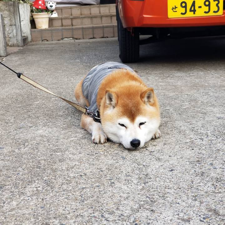 Ebecad90 b8d5 4f94 b25b 9940f14cfd81 1647243660669