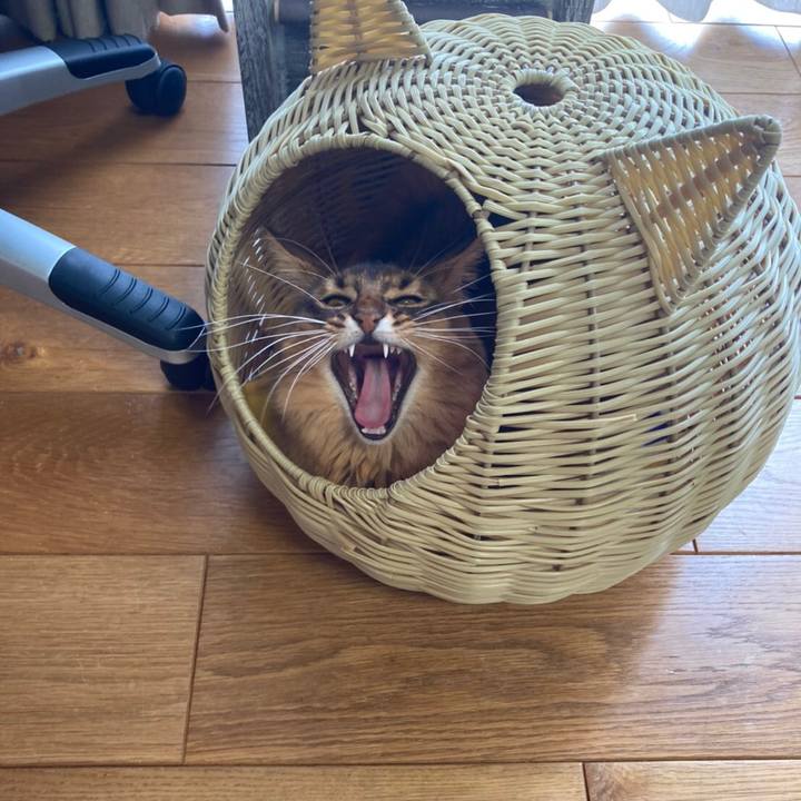 Ebecbb71 ec15 47ad 9dca 650844d7162e 1613362710682