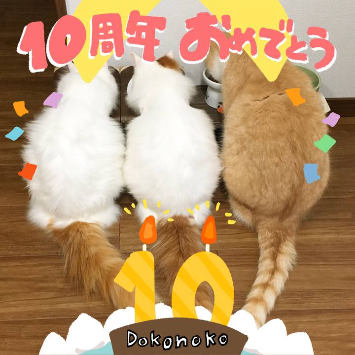 Ebecd574 fce8 4b5d ae0e 0d2cf17ea3be 1780631205898