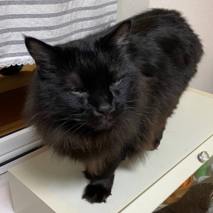 Ebecd6f3 938f 4236 b37b dc64149b9b28 1577972424976