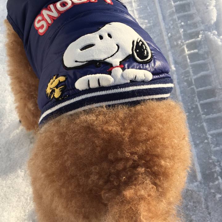 Ebecdf83 499f 479c a014 6e323a13481a 1520840074137