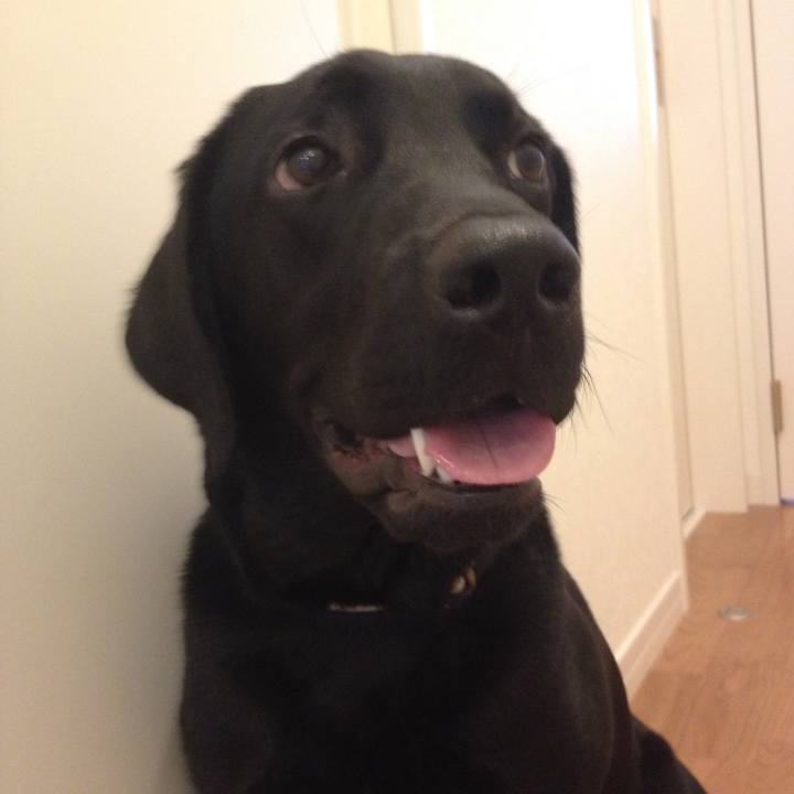 Ebecebe0 5e20 425a a702 1ba2ffcb5c2b 1570689768601