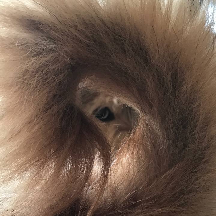 Ebed0b91 cb14 4927 8552 e7dcc6fe5178 1539652896318