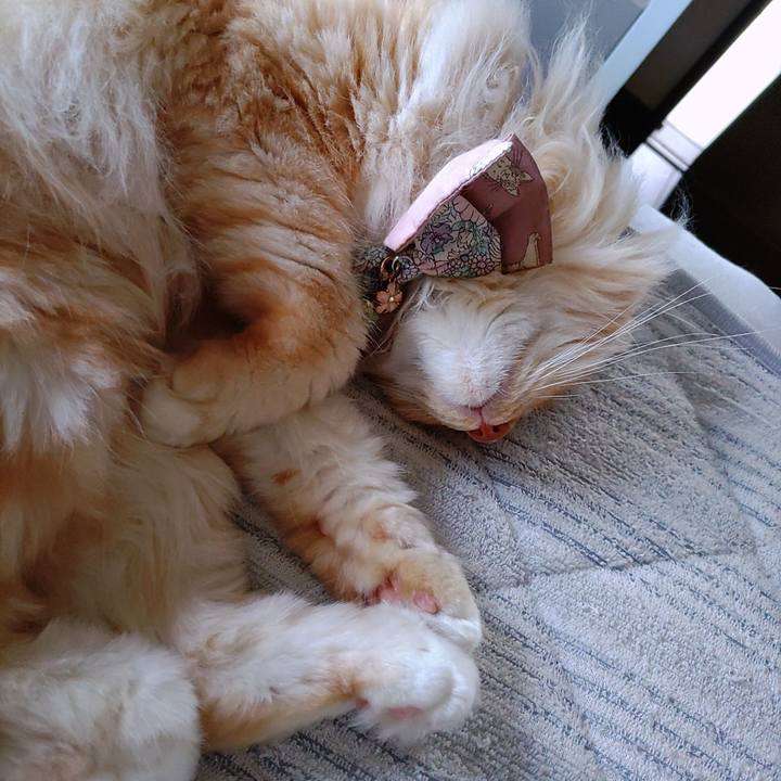 Ebed1650 532d 42e2 a5d8 aa7ce8ee9f6d 1721881946636