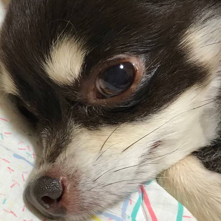 Ebed4808 7a46 404e ad8c d62601d44799 1530842165974