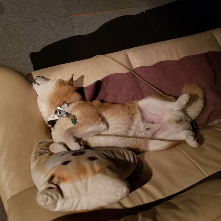 Ebed4b73 1755 49de b822 d3e9e7654cec 1700753130561