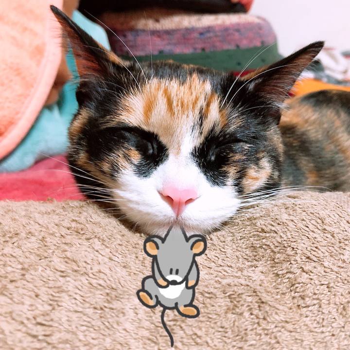 Ebed827c a6d1 4993 ac1c 99e2d1d2fe5f 1578227084757