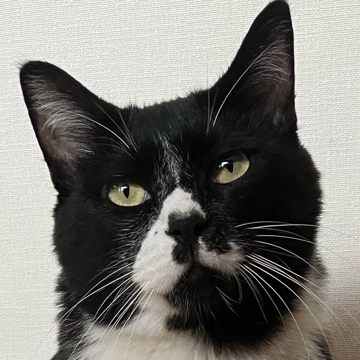 Ebeda0c4 2805 4ab9 8e2d 1f5c4a52d274 1728717619367