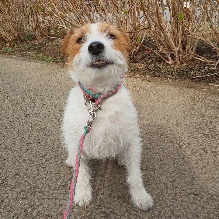 Ebede03a 9b88 4a43 9244 714bae58b069 1614921273148