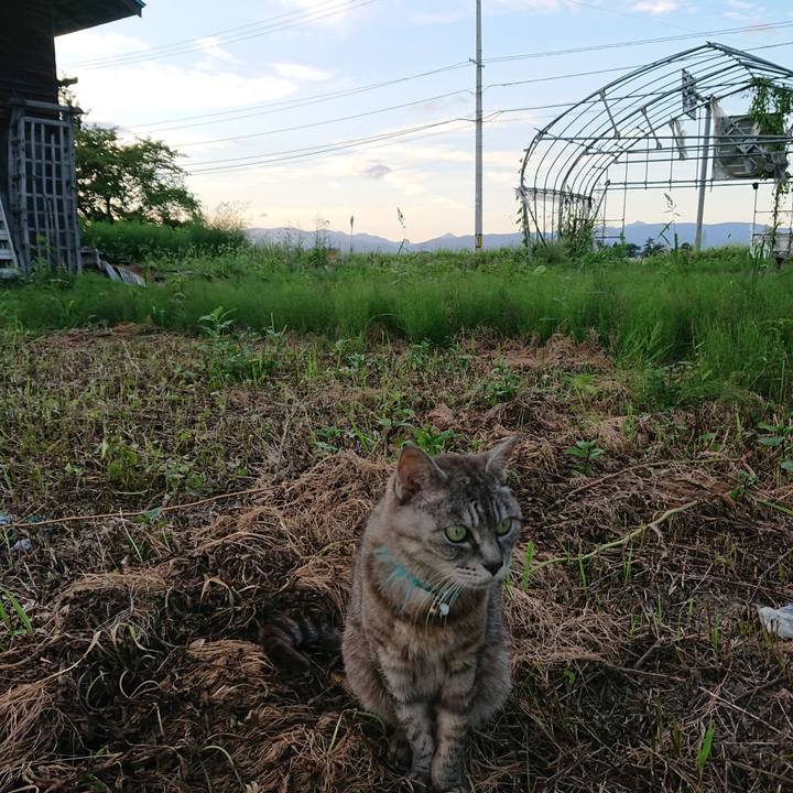 Ebee1245 ae39 4084 80dd 9819ab604dba 1568279543618