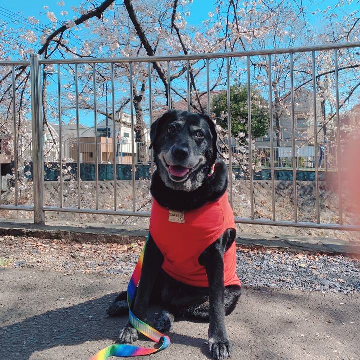 Ebee1686 fcb6 4b1b 9fd4 f68525b5fb8f 1679191087066