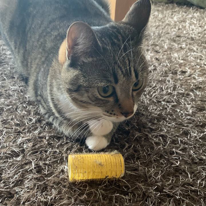 Ebee33b3 724e 4f8c 94c8 de5471ab9844 1544490523923