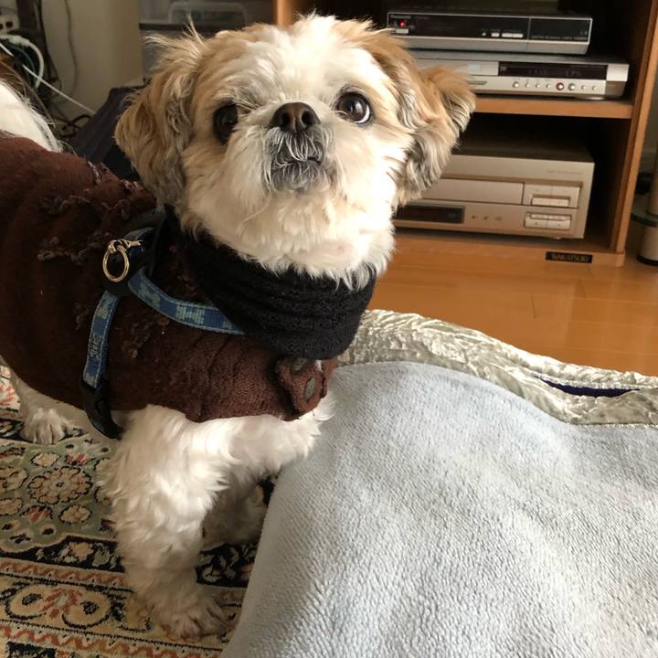 Ebee43ff cdb4 4bbd ac6a 9549fa02b396 1580161871566