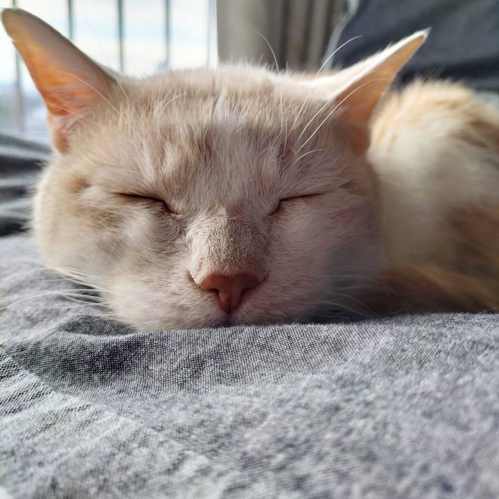 Ebee553f 8cc8 4d8a 947e 1ff80065a7ae 1705621137743