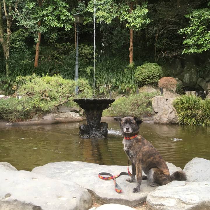 Ebee79e4 a3b0 4b68 b0f4 89476ec65c7a 1518700260618