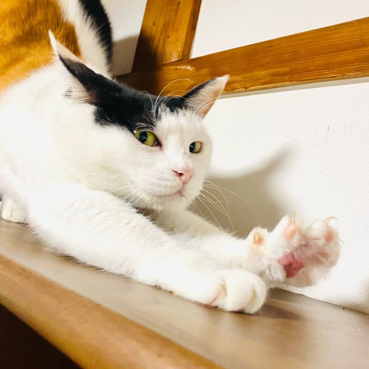 Ebee8869 2051 4178 9b8d a7fc28eed91f 1716682762799