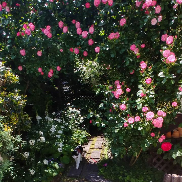 Ebeed98f 8d65 44e8 9d11 de88e53db3bc 1590727149676