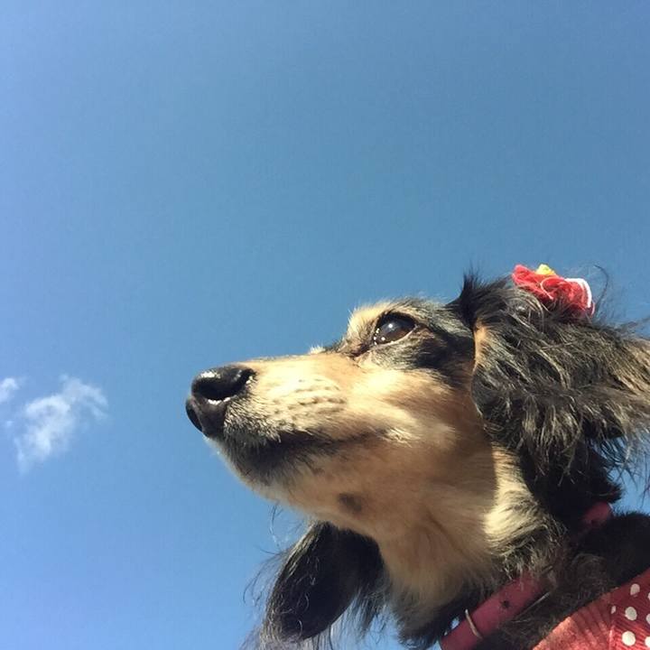 Ebeee1b9 7325 47eb a9a5 1deec469f938 1545101405342