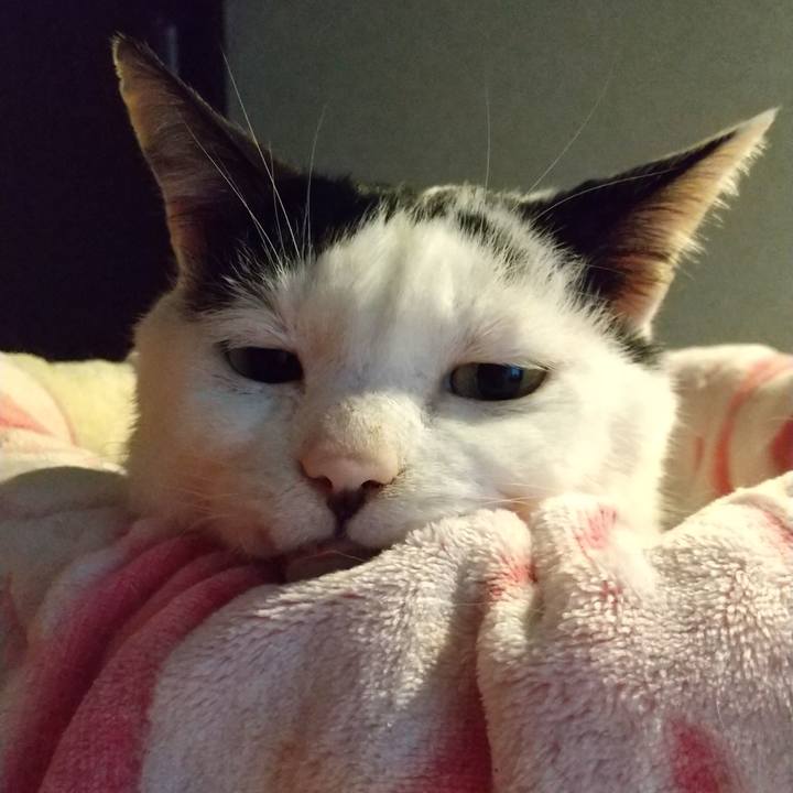 Ebeee300 cb76 438c 8406 afea58bc8ca5 1616481359932