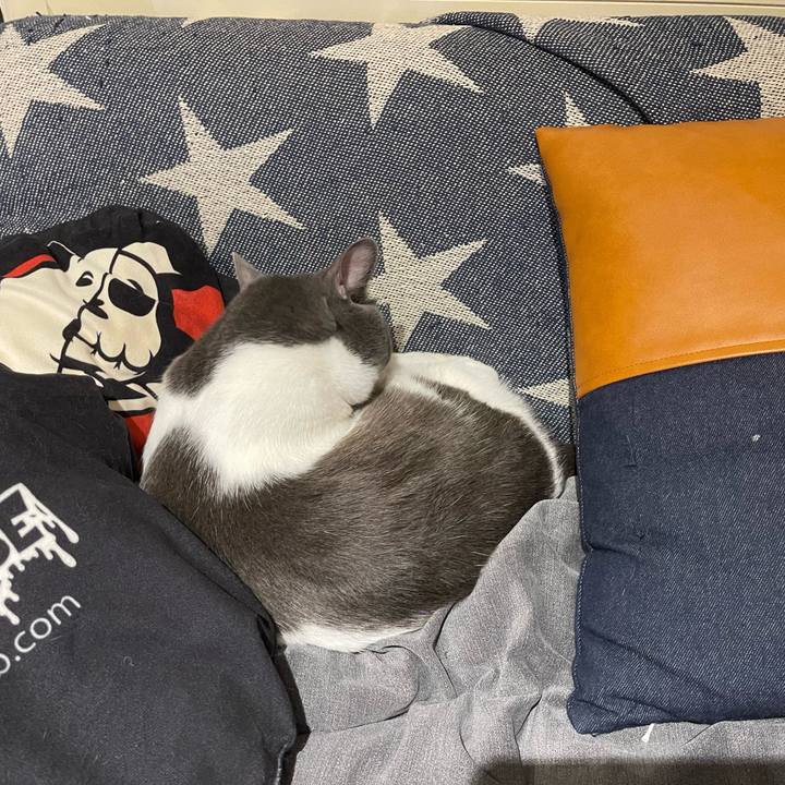 Ebef0de6 eb57 45a2 8053 f4e9d7aaa620 1660562149545