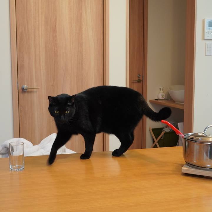 Ebef1a96 83c0 4f53 92d8 308ad2b3aee2 1607519917274