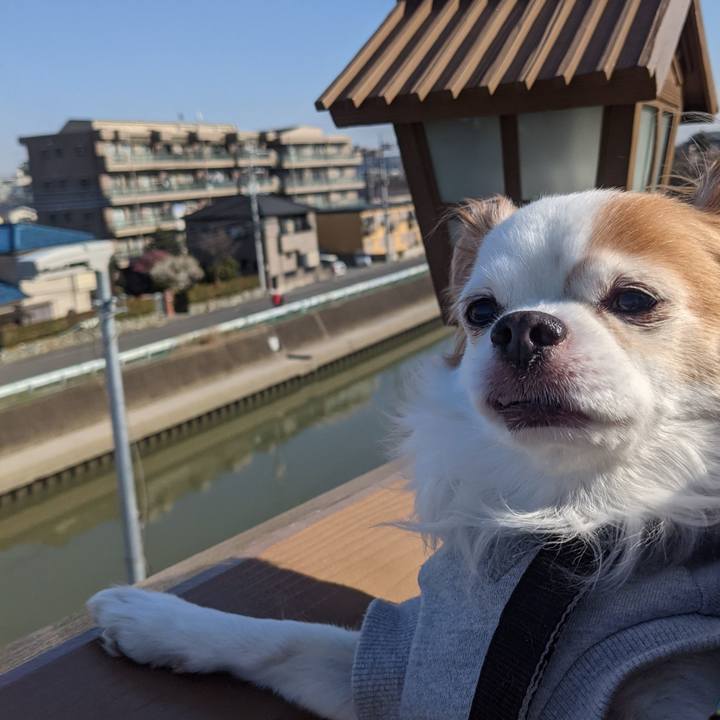 Ebef3487 d838 48a6 af7b bed1374dafaa 1614496044624