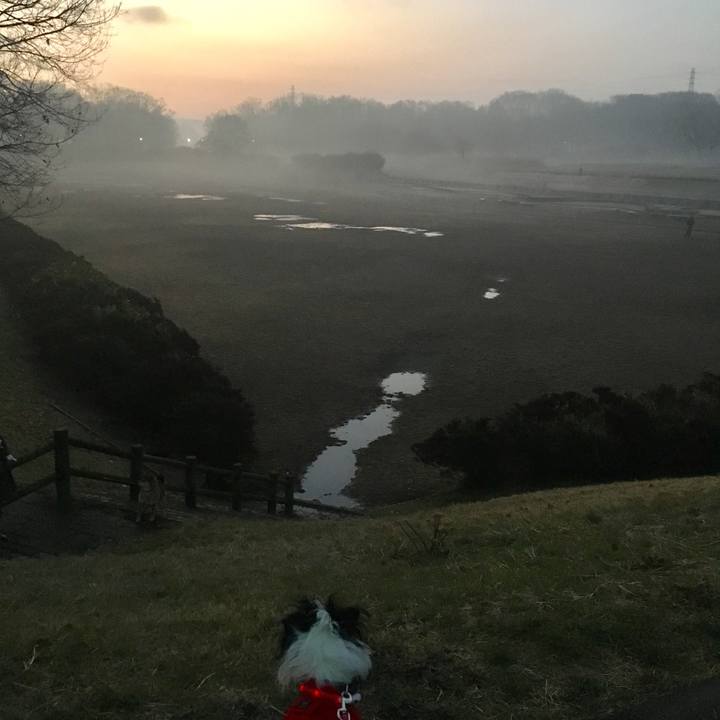 Ebef50a0 718c 4e33 8ded 8c1a5596e204 1516226847295