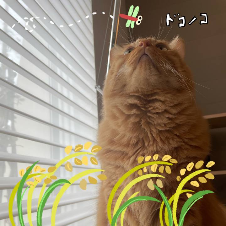 Ebef581d 7fe8 41d8 ac19 c6b82885ca44 1762306978259