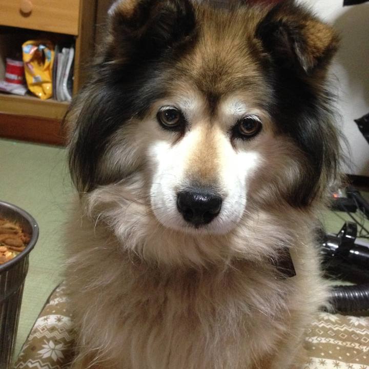 Ebef59bd 89b7 4789 bdae f2f51373d6cd 1589216059145