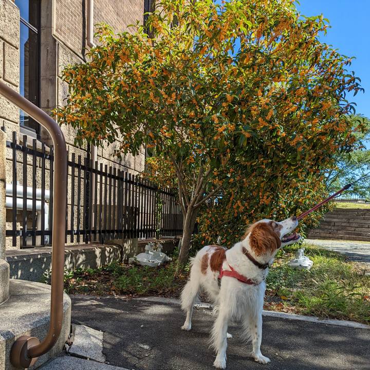 Ebefb12b ddfc 4981 a133 0149ba70878f 1666178651313