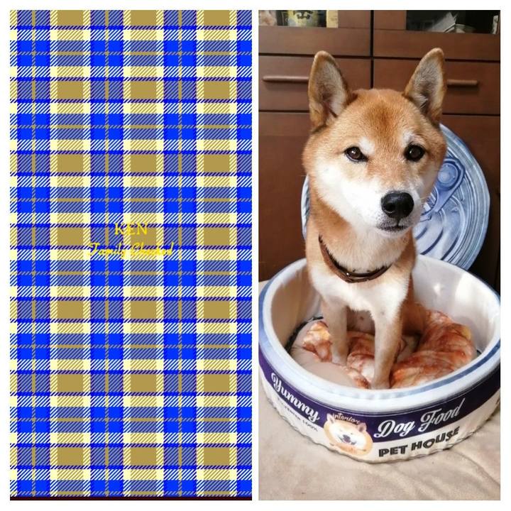 Ebefdb8d 0cd2 44d3 9e04 73553f998254 1606828092478