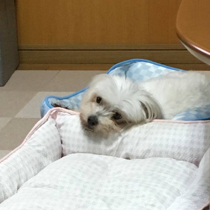 Ebefe2f9 10a2 4251 9668 c7e91486c645 1628258791860