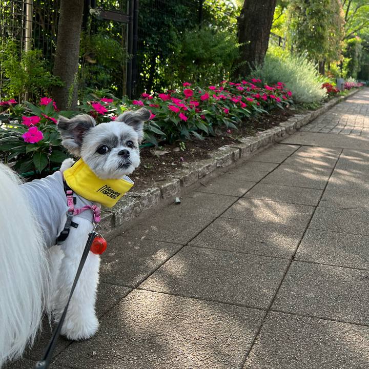 Ebf01202 8707 44e7 a3c5 2dda9f0db1ed 1688691205442