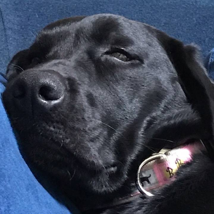 Ebf041e9 28fa 40e5 b68b 4064fd9c8756 1554727670899