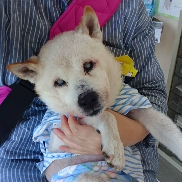 Ebf04511 516c 4ec6 a714 1a3e3e3651e0 1536463949539