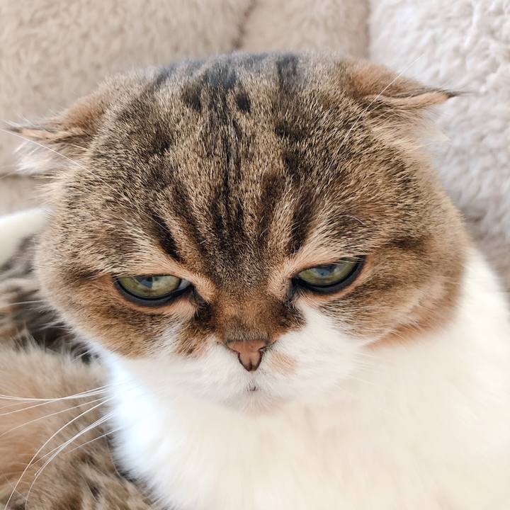 Ebf06a65 0ae3 49eb bcf0 c09e1475802a 1585207678322