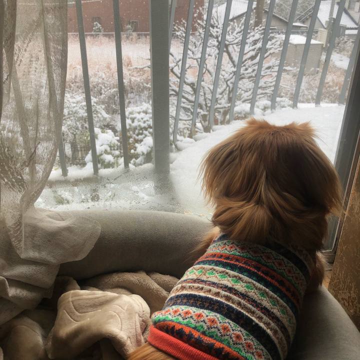 Ebf07596 d52d 4eed be2d c79556ac1b76 1546050173474